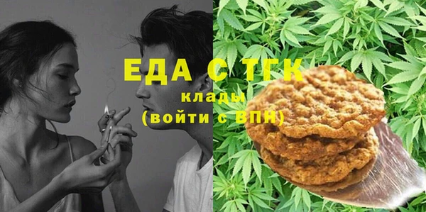 шишки Ельня