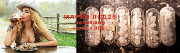 спиды Чердынь