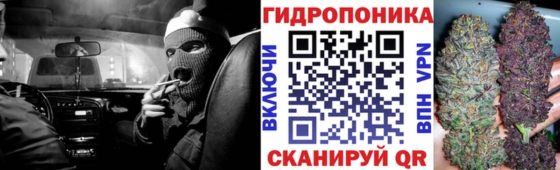 Бошки марихуана AK-47  купить наркоту  Котово 